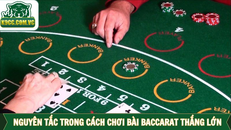 Cách Chơi Bài Baccarat Thắng Lớn: Bí Mật Từ Cao Thủ Nhà K9CC 2 Nắm vững nguyên tắc cơ bản là cách chơi bài Baccarat thắng lớn