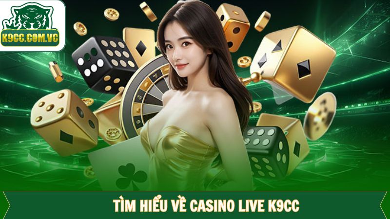 Live Casino K9CC - Sân Chơi Giải Trí Trực Tuyến Đẳng Cấp Hàng Đầu 1 Sân chơi live casino hấp dẫn hàng đầu